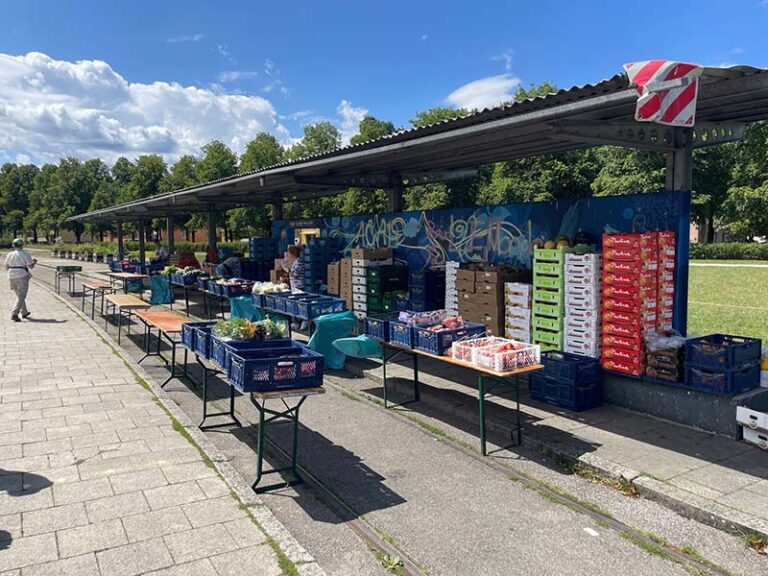 cadooz employees distribute food to the needy